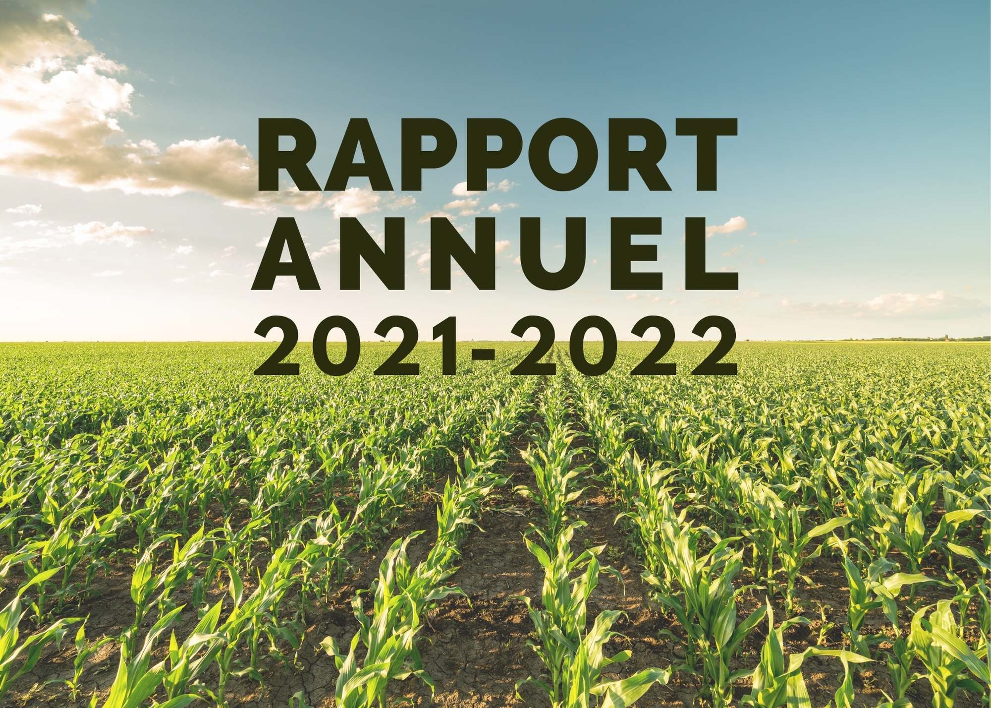 Informations complémentaires : Rapport annuel 2021-2022